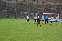 22-11-2015_esv-freiburg-1-svb-1-4-4-3-3_006.jpg